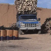 برش درخت