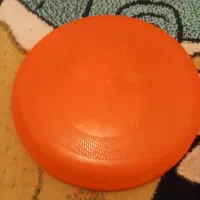 بشقاب پرنده