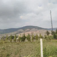 زمین-فروشی-صادق-آباد-خیابان-گلزار-شهداء
