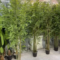 گیاه مصنوعی وارداتی ژورنالی و خاص