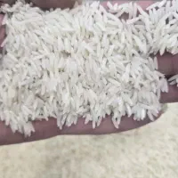 برنج هاشمی