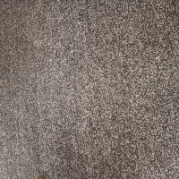 پالاز موکت ۶ متری