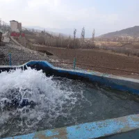 نیروی کار برای ماهی فروشی و رستوران