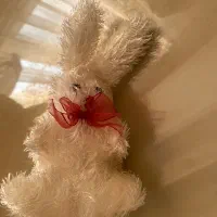 عروسک|اسباب‌‌بازی|رودسر, |دیوار