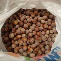 فندق