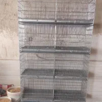 قفس8خوان اردشیر