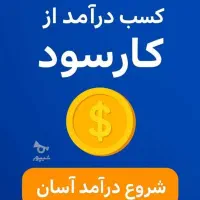 کاردرخانه باگوشی جیبی|خدمات رایانه‌ای و موبایل|هریس, |دیوار