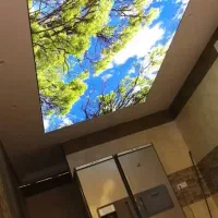 خدمات رنگ آمیزی و دکوراسیون|خدمات پیشه و مهارت|دوگنبدان, |دیوار