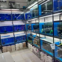 فروشنده و کارگر ساده