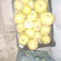 به درجه یک ویژه ی تهیه مربا و خورشت و چای