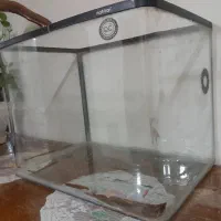 آکواریوم|ماهی|اصفهان, گرکان|دیوار