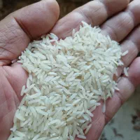 بوجار شده هاشمی ۲۶۰و سوزنی فجر ۱۷۰ت لاشه ۱۷۱