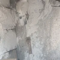 کبوتر
