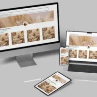 طراحی سایت حرفه ای متناسب کسب و کار شما