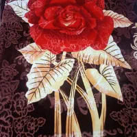 دو عدد پتو ابریشمی ضخیم دولایه|رختخواب، بالش، پتو|هشتگرد, مدرس|دیوار