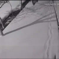 دوربین مداربسته|دوربین مداربسته|تربت جام, کشتارگاه|دیوار