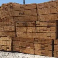 بورس انواع تخته نراد روسی جنگلی|عمدهفروشی|رشت, کوی طالقانی|دیوار