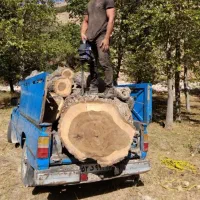 خریدار چوب کلی و جزئی