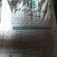کودسیاه کامل