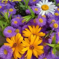 شیشه آینه تهرانپارس نارمک