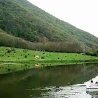 فروش زمین|فروش زمین و ملک کلنگی|توتکابن, |دیوار