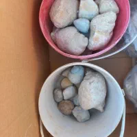 فسیل های مختلف|کلکسیون اشیاء عتیقه|سیراف, |دیوار