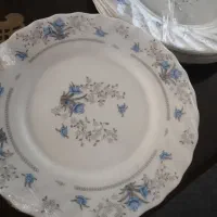 پارس اوپال اصل