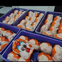 پخش قطعه بندی مرغ سمین سبز دشت و تلاونگ