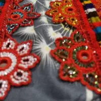 کریشی سرای آنی