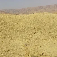 گزره|خوردنی و آشامیدنی|امام, |دیوار