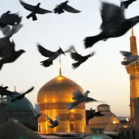 زرند به مشهد