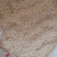 فروش برنج هاشمی اصل گیلان