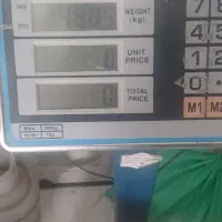 ترازو باسکول ۵۰۰کیلویی