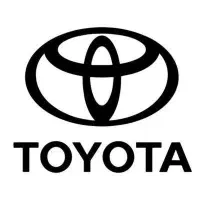 برقکار حرفه ای