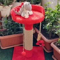 اسکرچر گربه