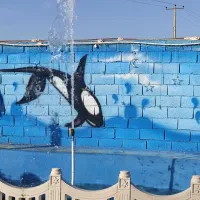 باغ شیک مبله با لوازم،سند ملکی آماده وکالت ،مجتمع|فروش زمین و ملک کلنگی|مشهد, توس فردوسی|دیوار