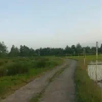 فروش مرغداری با تجهیزات کامل/۲۰ هزارتایی|فروش دفتر صنعتی، کشاورزی، تجاری|فومن, |دیوار