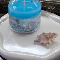 شمع دریایی زیبا
