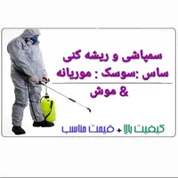 سم پاشی ریشه کنی کامل%100سمپاشی/ انسـجام قــم