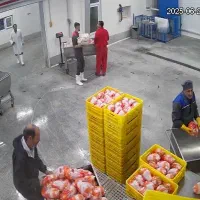 کارگر بسته بندی کشتارگاه