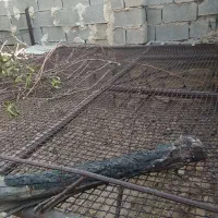 تخت|تخت و سرویس خواب|لیکک, |دیوار