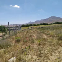 زمین کشاورزی و باغی سیمین زاغه ۵۰۰ متر