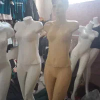 مانکن و رگال تیله ای