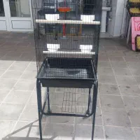 قفس و دان پرندگان زینتی|لوازم جانبی حیوانات|زنجان, |دیوار