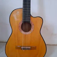 گیتار ایرانی کاملا نو