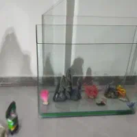 آکواریوم و لوازم تزیینی|ماهی|ایلام, |دیوار