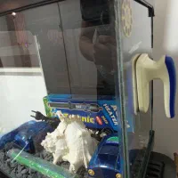 آکواریوم ماهیران|ماهی|کرج, شاهین‌ویلا|دیوار