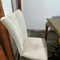 میزنهارخوری ۶ نفره|میز و صندلی غذاخوری|گنبد کاووس, |دیوار