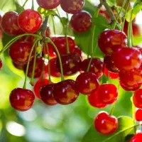 پیاده روی وکوهنوردی وورزش 5شنبه هاوجمعه ها