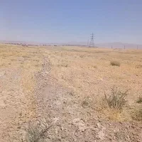فروش زمین دیمی به مساحت ۲ هکتار
